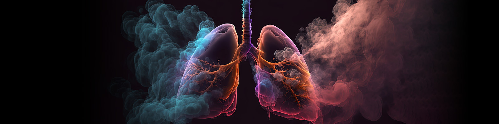 Hyperinflated Lungs: Causes, Symptoms & Treatment