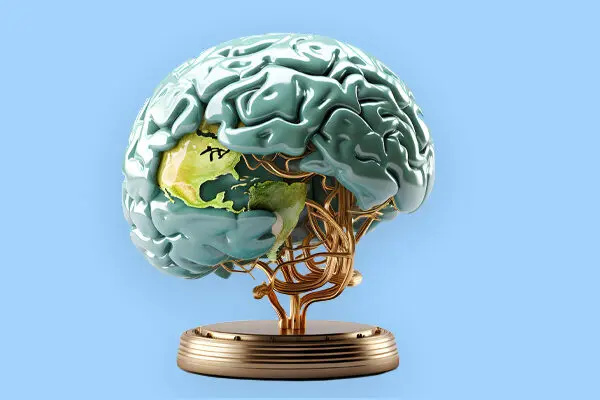 World Brain Day 2024