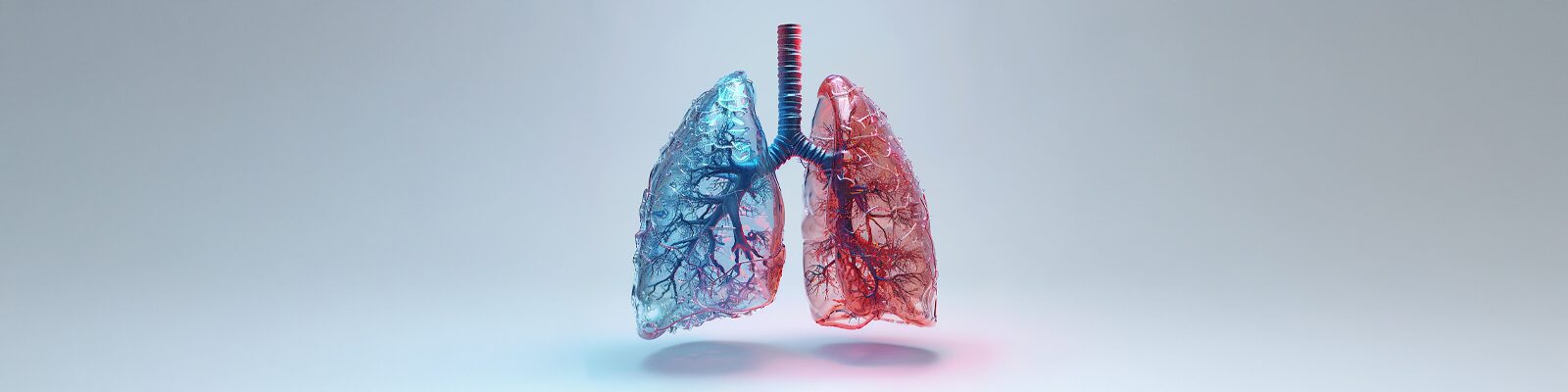 Reactive Airway Disease vs Asthma: Understanding the Key Differences