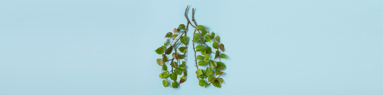 COPD Awareness Month 2024: Let’s Breathe Life into the Conversation