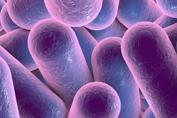 Clostridium difficile Infection