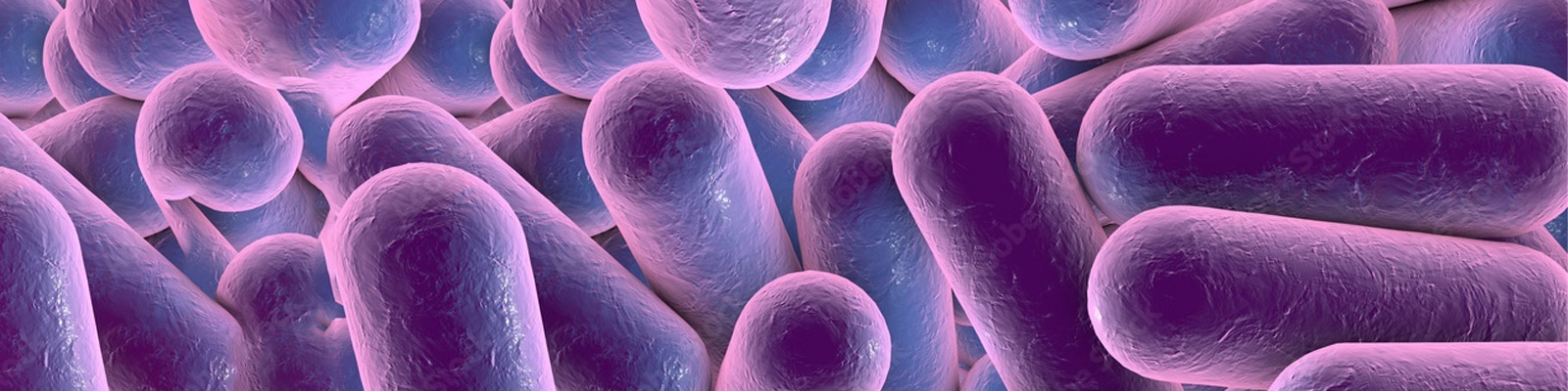 Clostridium difficile Infection
